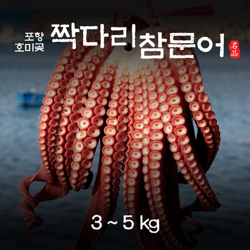 포항 호미곶 짝다리문어 (3~5kg)  전화주세요 (010-6798-3248)