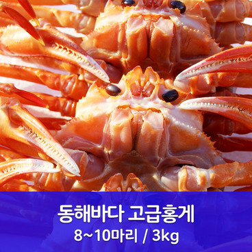 동해바다 고급홍게 8~10마리/3kg