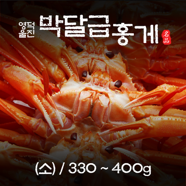 영덕 울진 박달급 홍게 (소)  330~400g/마리
