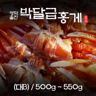 영덕 울진 박달급 홍게 (대B)  500~550g/마리