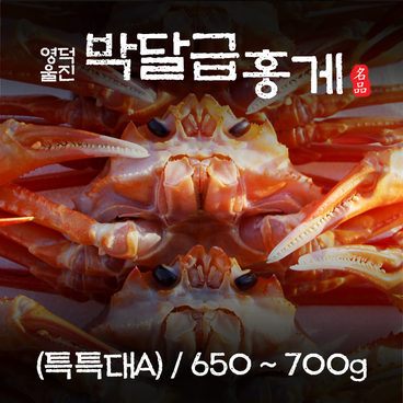 영덕 울진 박달급 홍게 (특특대A)  650~700g/마리